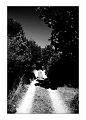 Le chemin